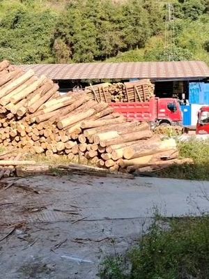 广西缘源林产品木业