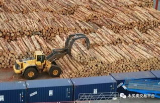 越南 加强出口木材加工业的可持续发展
